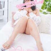 ヒメ日記 2025/12/23 21:09 投稿 ハイビスカス 飾窓