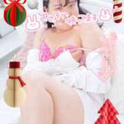 ヒメ日記 2025/12/25 20:56 投稿 ハイビスカス 飾窓