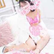 ヒメ日記 2025/12/26 17:22 投稿 ハイビスカス 飾窓