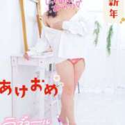 ヒメ日記 2026/01/03 20:34 投稿 ハイビスカス 飾窓