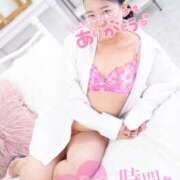 ヒメ日記 2026/01/15 20:24 投稿 ハイビスカス 飾窓