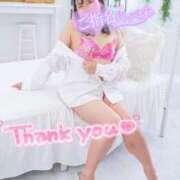 ヒメ日記 2026/01/20 21:25 投稿 ハイビスカス 飾窓