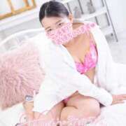 ヒメ日記 2026/01/21 20:00 投稿 ハイビスカス 飾窓