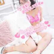 ヒメ日記 2026/01/30 16:33 投稿 ハイビスカス 飾窓