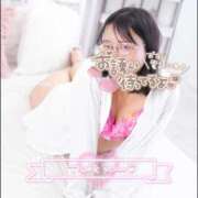 ヒメ日記 2026/02/01 22:09 投稿 ハイビスカス 飾窓