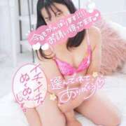 ヒメ日記 2026/02/02 14:13 投稿 ハイビスカス 飾窓