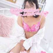 ヒメ日記 2026/02/02 19:40 投稿 ハイビスカス 飾窓