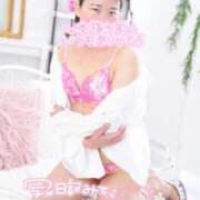 ヒメ日記 2026/02/06 17:01 投稿 ハイビスカス 飾窓