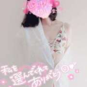 ヒメ日記 2026/02/18 21:53 投稿 ハイビスカス 飾窓