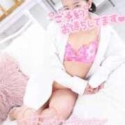 ヒメ日記 2026/02/21 21:02 投稿 ハイビスカス 飾窓