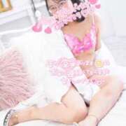 ヒメ日記 2026/02/26 21:00 投稿 ハイビスカス 飾窓