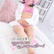 ヒメ日記 2026/03/01 21:22 投稿 ハイビスカス 飾窓