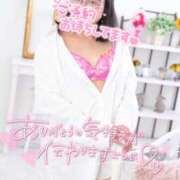 ヒメ日記 2026/03/03 17:14 投稿 ハイビスカス 飾窓