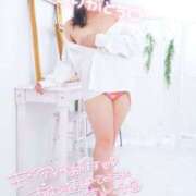 ヒメ日記 2026/03/06 13:56 投稿 ハイビスカス 飾窓