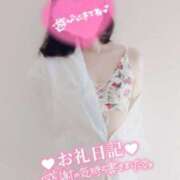 ヒメ日記 2026/03/12 16:21 投稿 ハイビスカス 飾窓