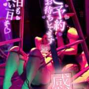 ヒメ日記 2026/03/12 20:36 投稿 ハイビスカス 飾窓