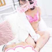 ヒメ日記 2026/03/14 13:28 投稿 ハイビスカス 飾窓