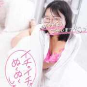 ヒメ日記 2026/03/16 19:33 投稿 ハイビスカス 飾窓