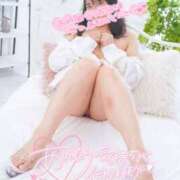 ヒメ日記 2026/03/17 14:08 投稿 ハイビスカス 飾窓