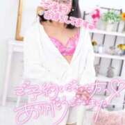 ヒメ日記 2026/03/19 14:43 投稿 ハイビスカス 飾窓