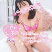 ヒメ日記 2026/03/21 15:03 投稿 ハイビスカス 飾窓