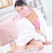 ヒメ日記 2026/03/25 21:22 投稿 ハイビスカス 飾窓