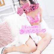 ヒメ日記 2026/03/27 14:46 投稿 ハイビスカス 飾窓