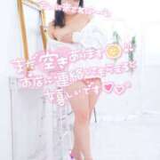 ヒメ日記 2026/03/31 20:28 投稿 ハイビスカス 飾窓