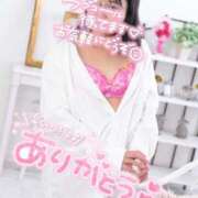 ヒメ日記 2026/04/01 14:41 投稿 ハイビスカス 飾窓