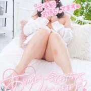 ヒメ日記 2026/04/06 13:22 投稿 ハイビスカス 飾窓