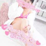 ヒメ日記 2026/04/06 21:11 投稿 ハイビスカス 飾窓