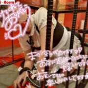 ヒメ日記 2026/04/07 13:59 投稿 ハイビスカス 飾窓