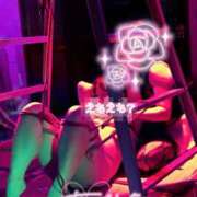 ヒメ日記 2026/04/07 21:40 投稿 ハイビスカス 飾窓