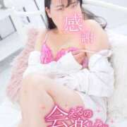 ヒメ日記 2026/04/08 21:37 投稿 ハイビスカス 飾窓