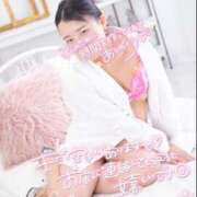 ヒメ日記 2026/04/09 13:41 投稿 ハイビスカス 飾窓