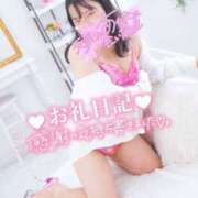 ヒメ日記 2026/04/09 18:54 投稿 ハイビスカス 飾窓