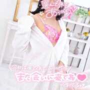 ヒメ日記 2026/04/09 22:25 投稿 ハイビスカス 飾窓