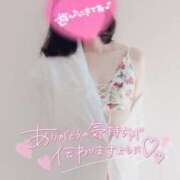 ヒメ日記 2026/04/10 15:48 投稿 ハイビスカス 飾窓