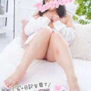 ヒメ日記 2026/04/14 21:37 投稿 ハイビスカス 飾窓