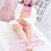 ヒメ日記 2026/04/16 19:17 投稿 ハイビスカス 飾窓