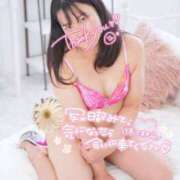 ヒメ日記 2026/04/27 14:53 投稿 ハイビスカス 飾窓
