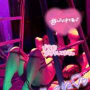 ヒメ日記 2026/05/12 21:13 投稿 ハイビスカス 飾窓