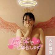 ヒメ日記 2026/07/13 20:53 投稿 ハイビスカス 飾窓