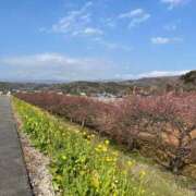 ヒメ日記 2025/03/17 14:01 投稿 ゆか 渋谷じゃっくす