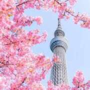 ヒメ日記 2025/03/25 22:06 投稿 くみこ 完熟ばなな大宮