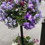 ヒメ日記 2025/04/18 20:13 投稿 くみこ 完熟ばなな大宮