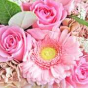 ヒメ日記 2025/05/16 22:43 投稿 くみこ 完熟ばなな大宮