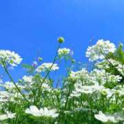 ヒメ日記 2025/06/27 23:13 投稿 くみこ 完熟ばなな大宮