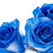 ヒメ日記 2025/07/08 23:33 投稿 くみこ 完熟ばなな大宮