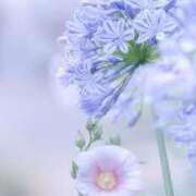 ヒメ日記 2025/07/09 23:13 投稿 くみこ 完熟ばなな大宮